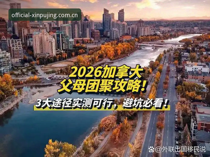 老玩家实测:新普京游戏平台2026新版使用心得,这些坑你别踩